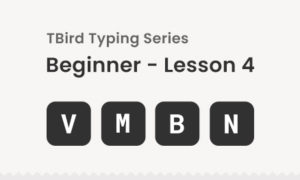 Free bottom row keys Typing practice for beginners