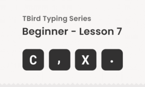 Free bottom row keys Typing practice for beginners