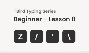 Free bottom row keys Typing practice for beginners